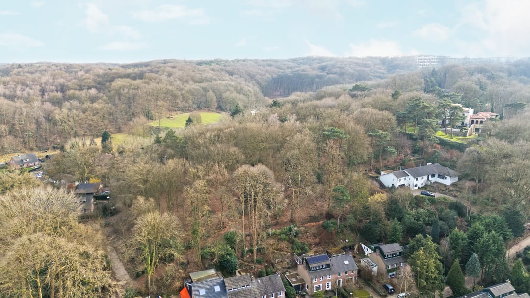 Foto 41 van Oude Bosweg