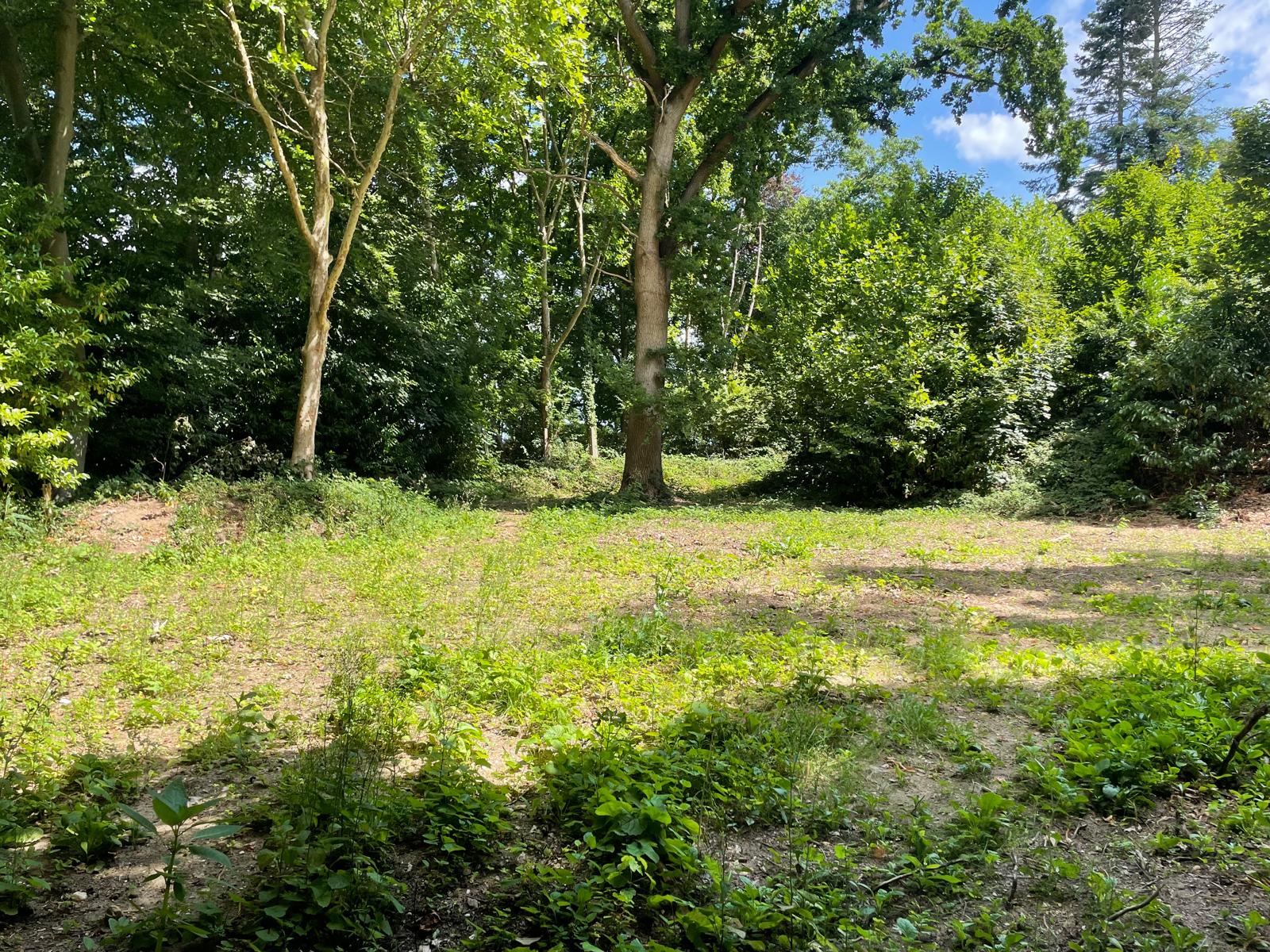 Foto 48 van Oude Bosweg