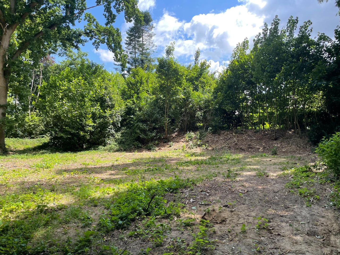 Foto 49 van Oude Bosweg