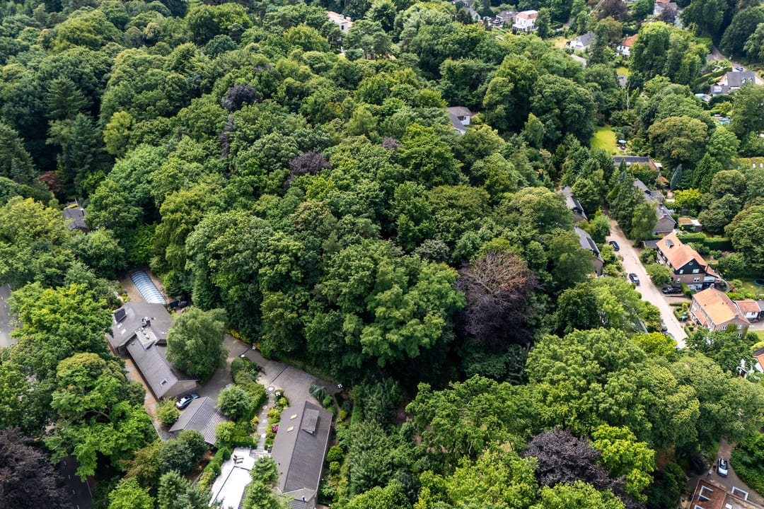 Foto 53 van Oude Bosweg