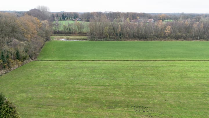 Foto 4 van Zimmelinksdiek 2