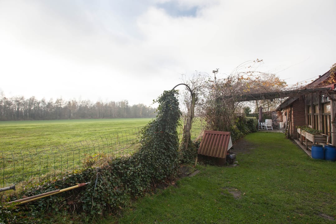 Foto 8 van Zimmelinksdiek 2