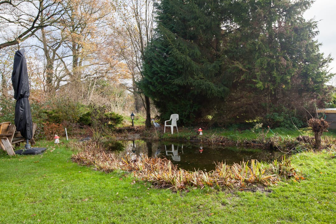 Foto 11 van Zimmelinksdiek 2