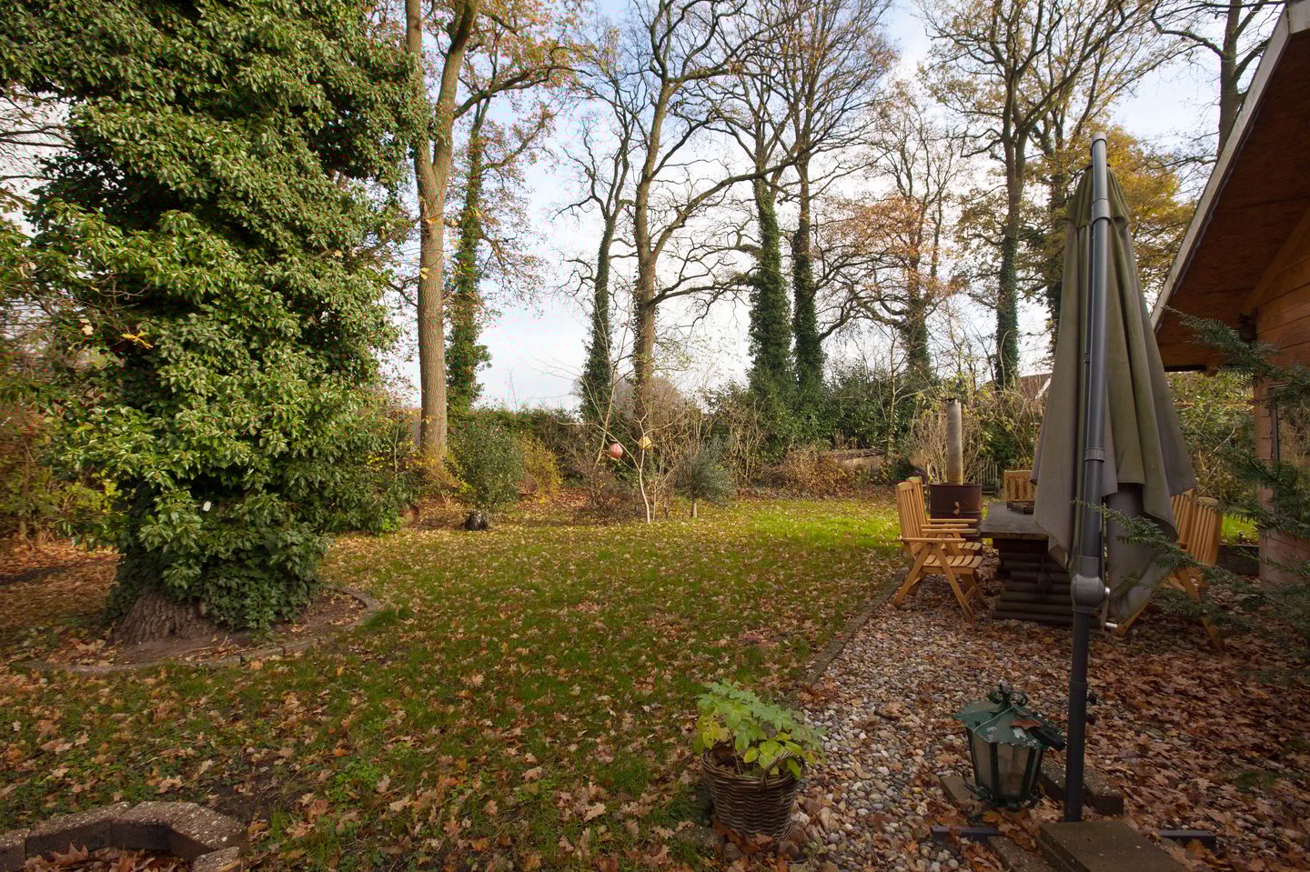 Foto 50 van Zimmelinksdiek 2