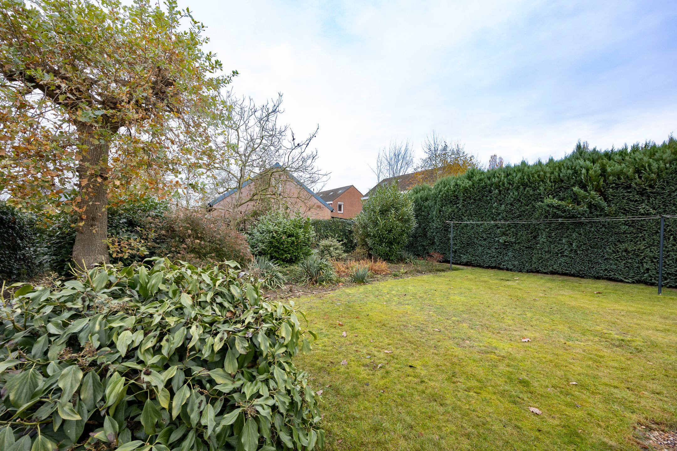 Photo 39 of Sterrenbos 66