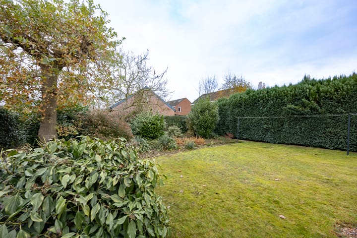 Foto 39 van Sterrenbos 66