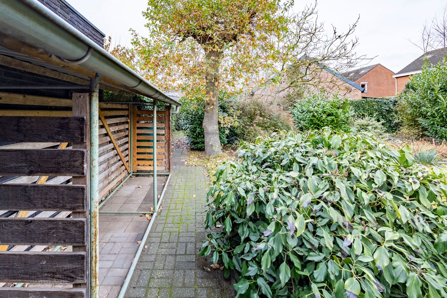 Photo 40 of Sterrenbos 66