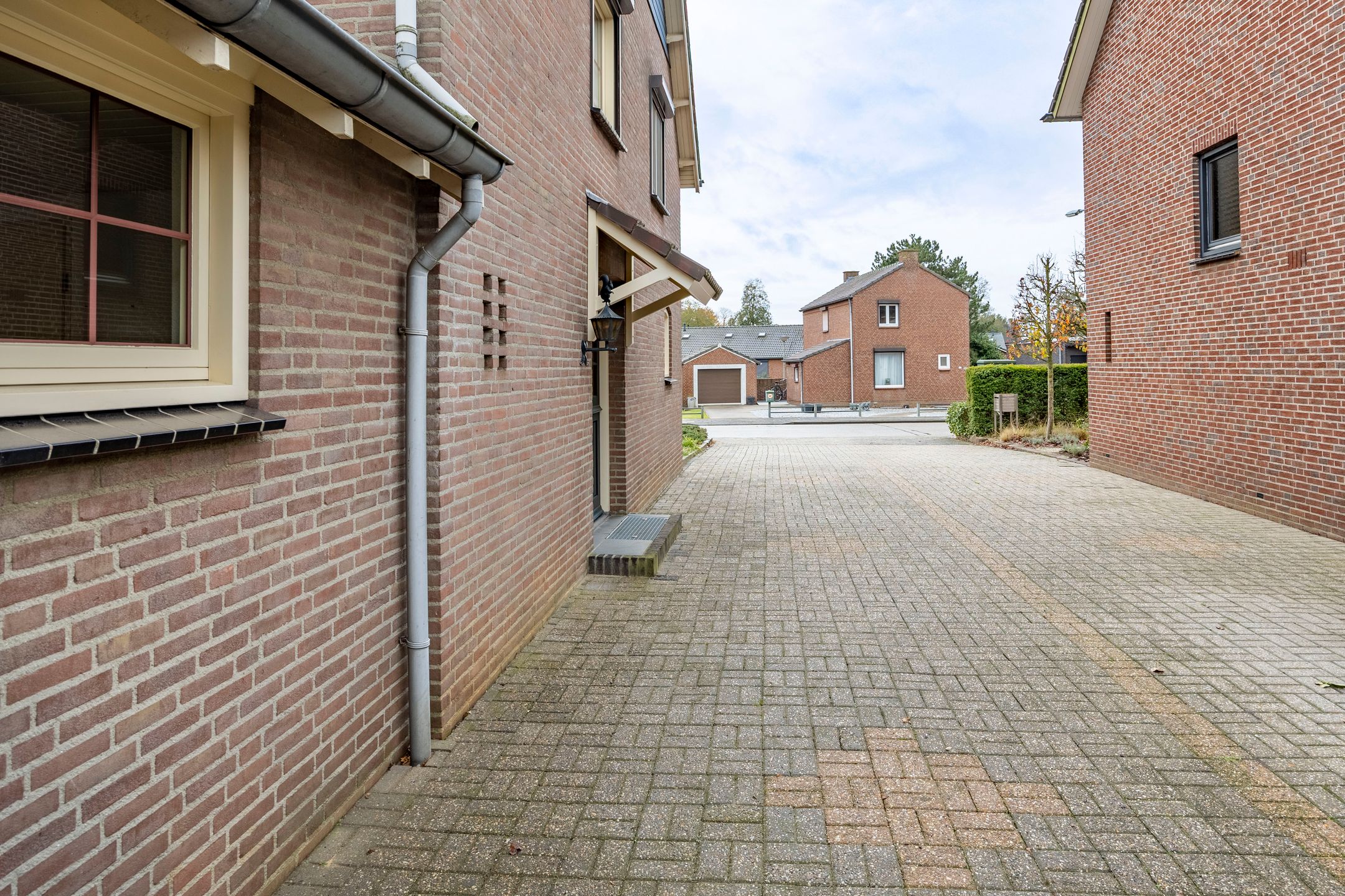 Photo 45 of Sterrenbos 66