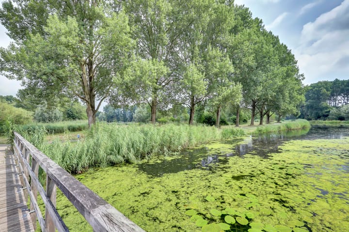 Foto 36 van Pelikaan 19