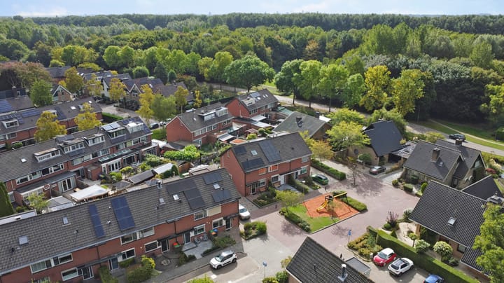 Foto 40 van Pelikaan 19