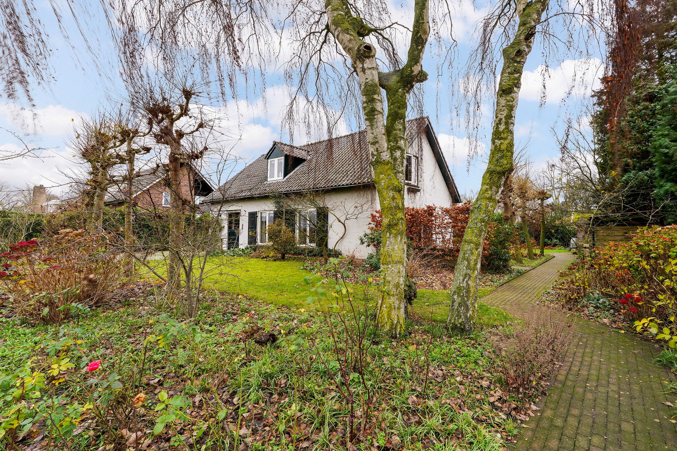 Foto 3 van Rosenhofstraat 36