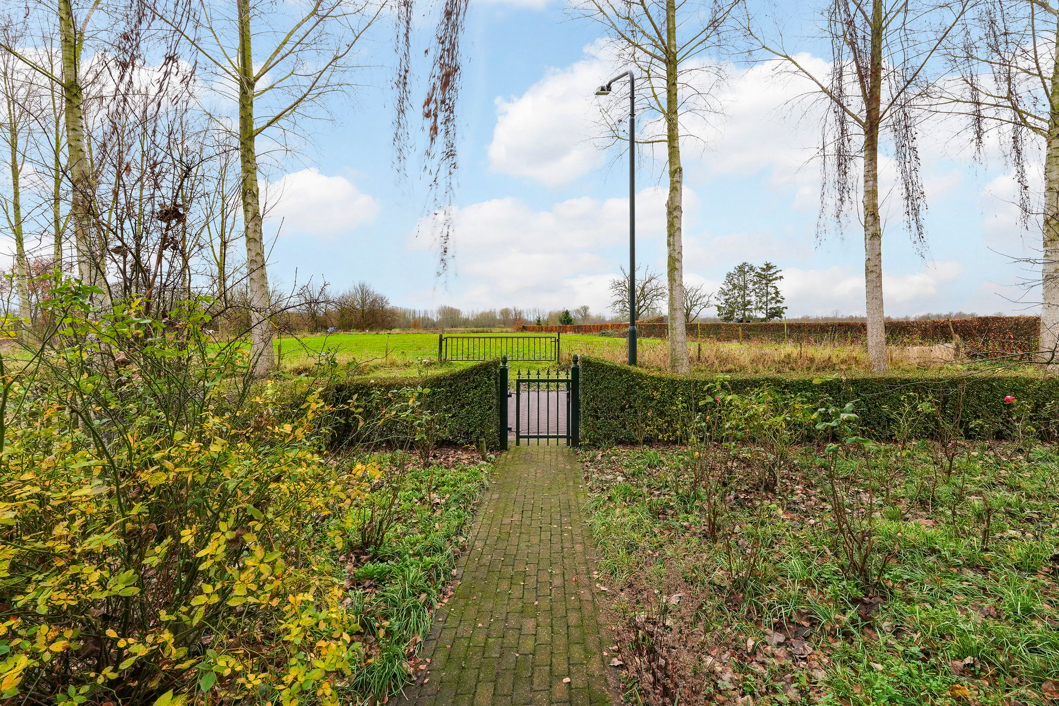 Foto 60 van Rosenhofstraat 36