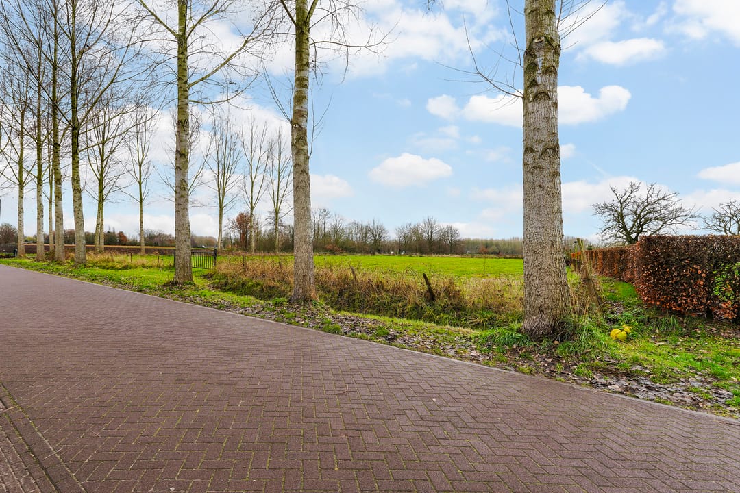 Foto 62 van Rosenhofstraat 36