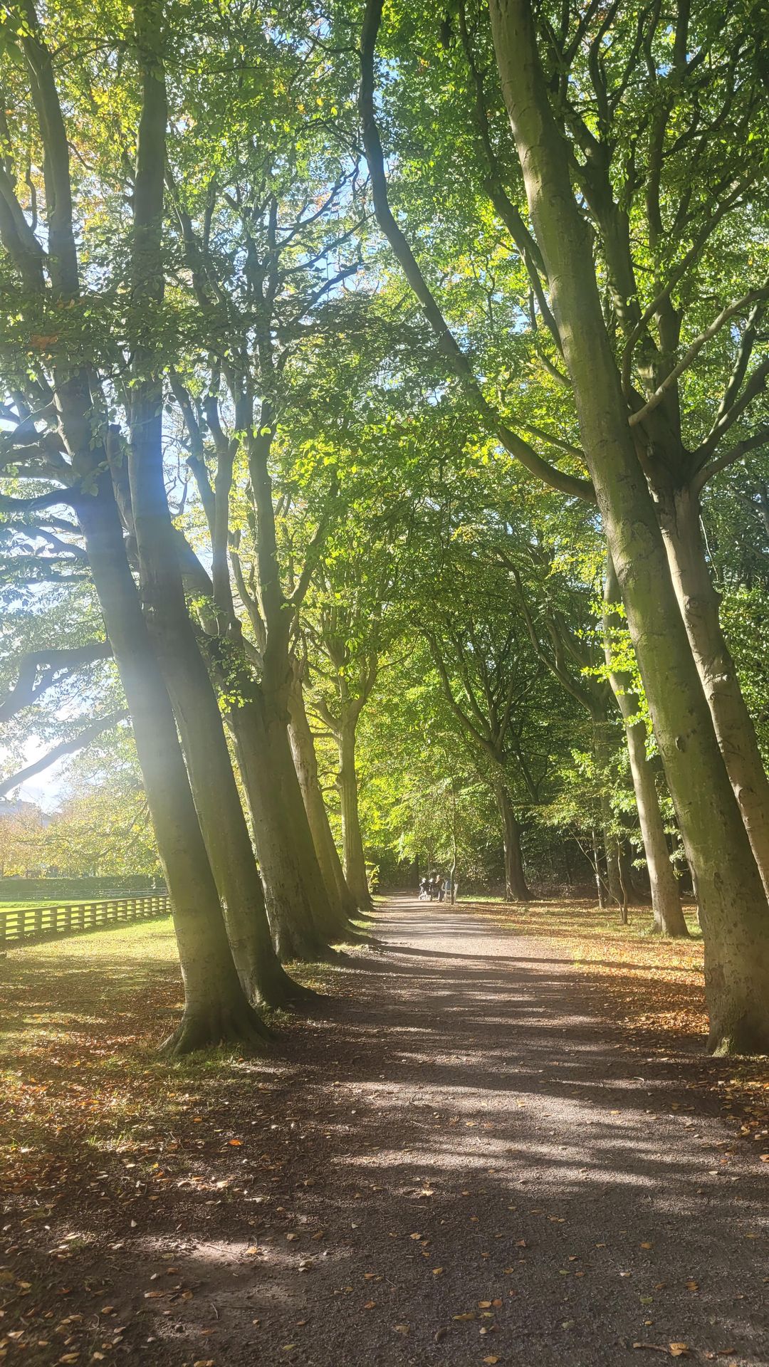 Photo 41 of Mozartlaan 518