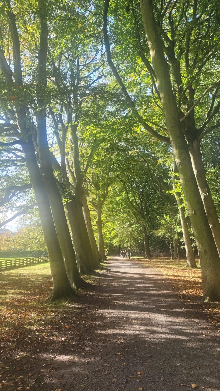 Photo 41 of Mozartlaan 518