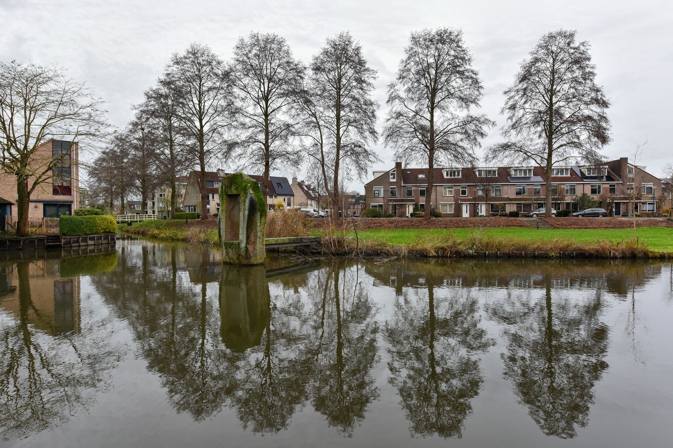 Foto 3 van Glaskruid 9