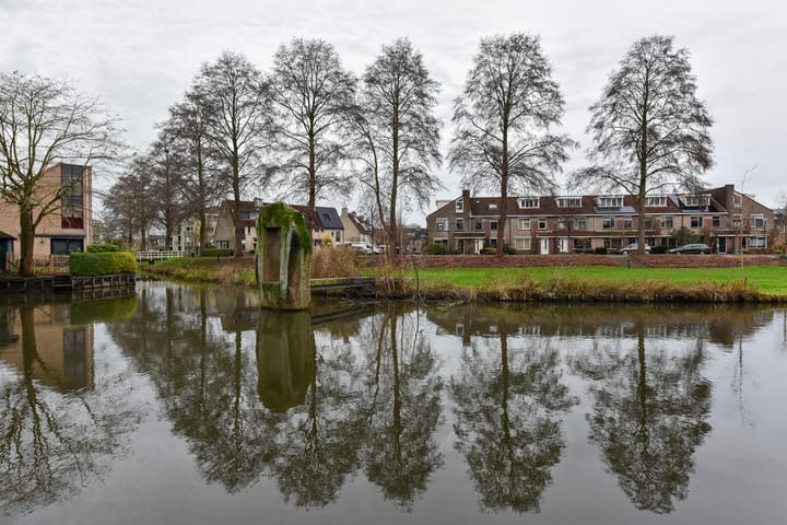 Photo 3 of Glaskruid 9