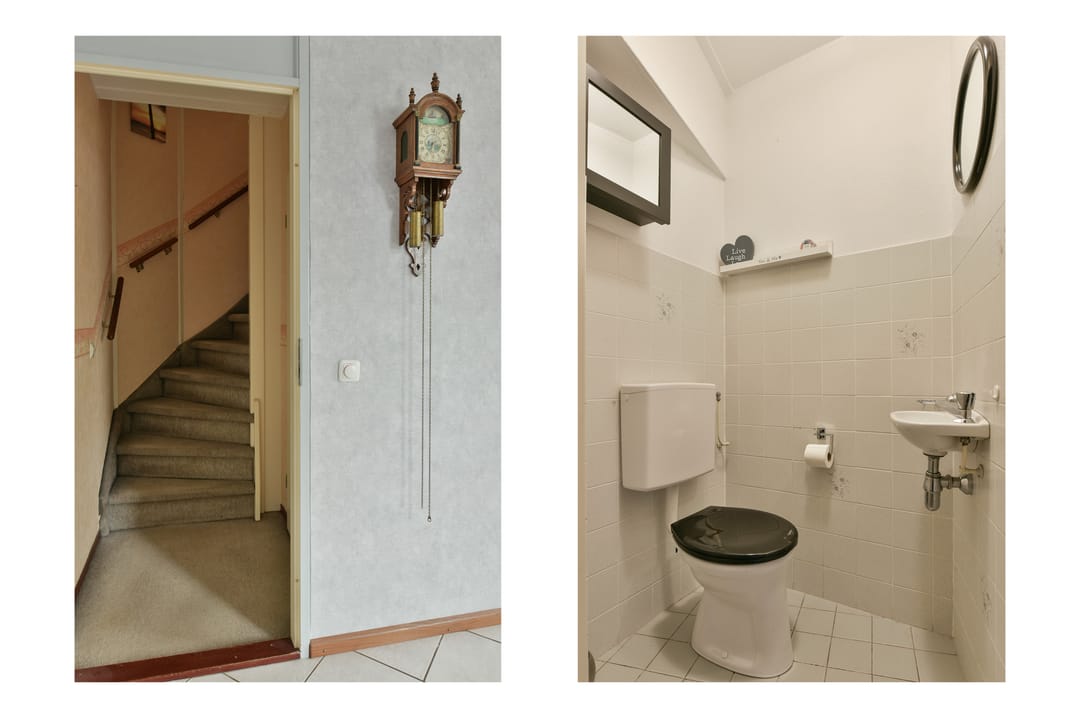 Foto 13 van Glaskruid 9