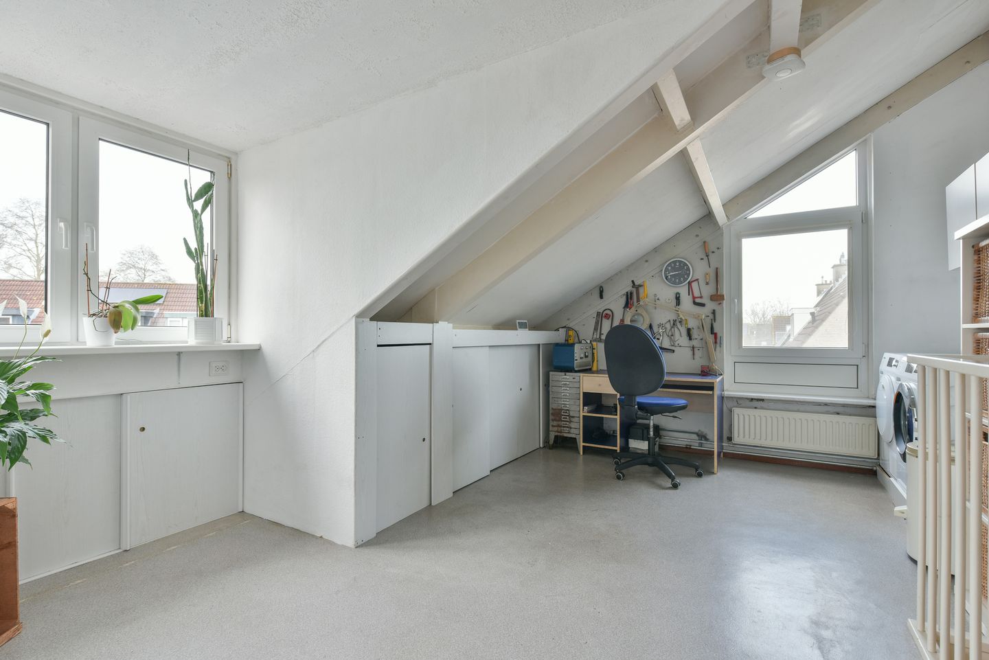 Foto 19 van Glaskruid 9