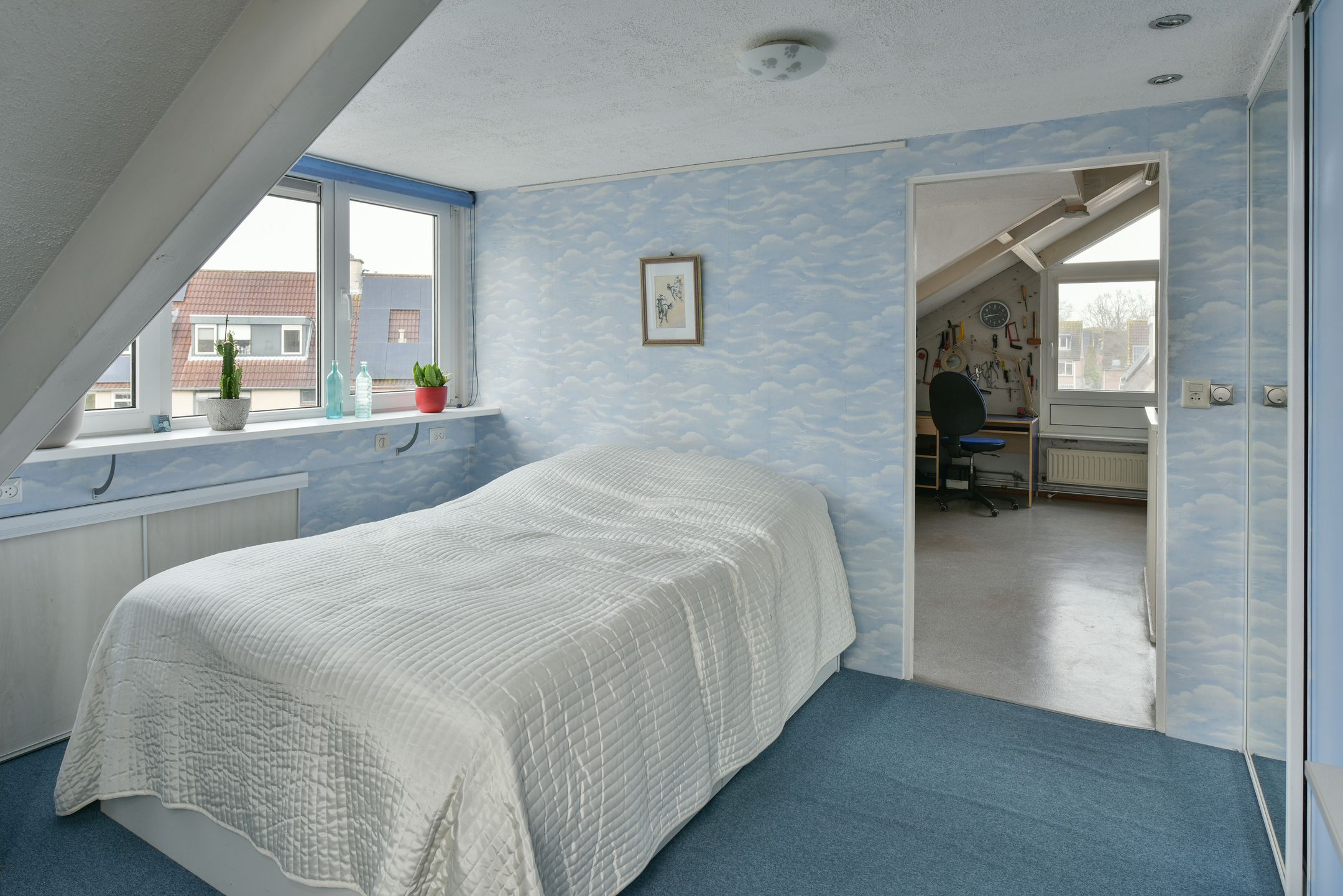 Foto 21 van Glaskruid 9