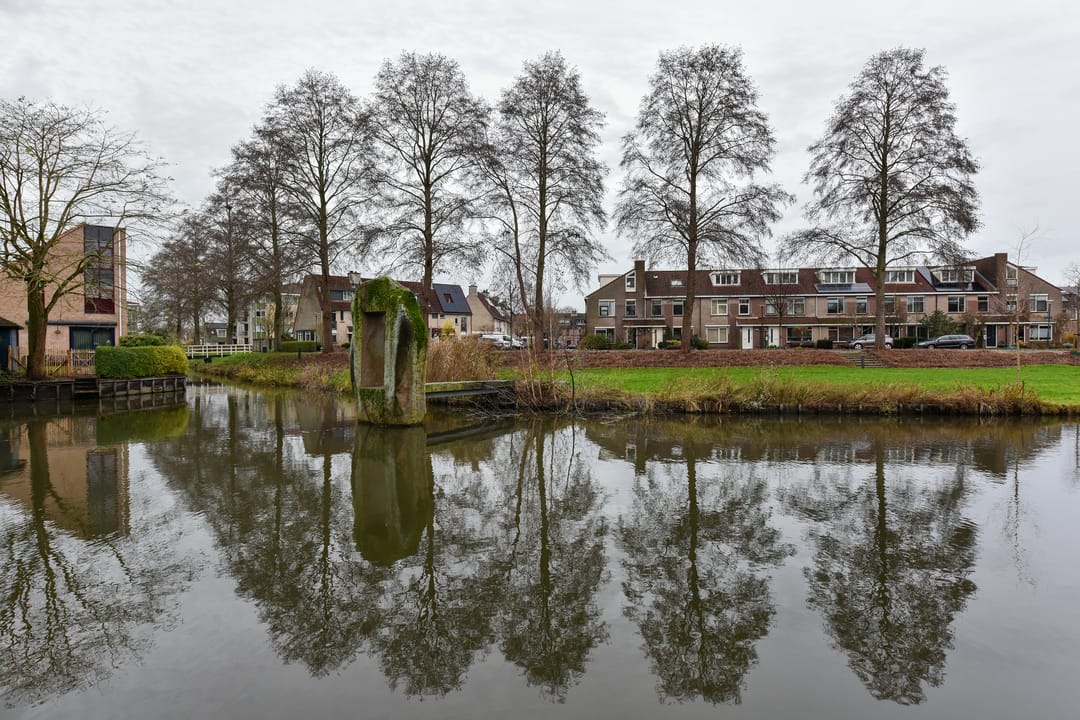 Foto 26 van Glaskruid 9