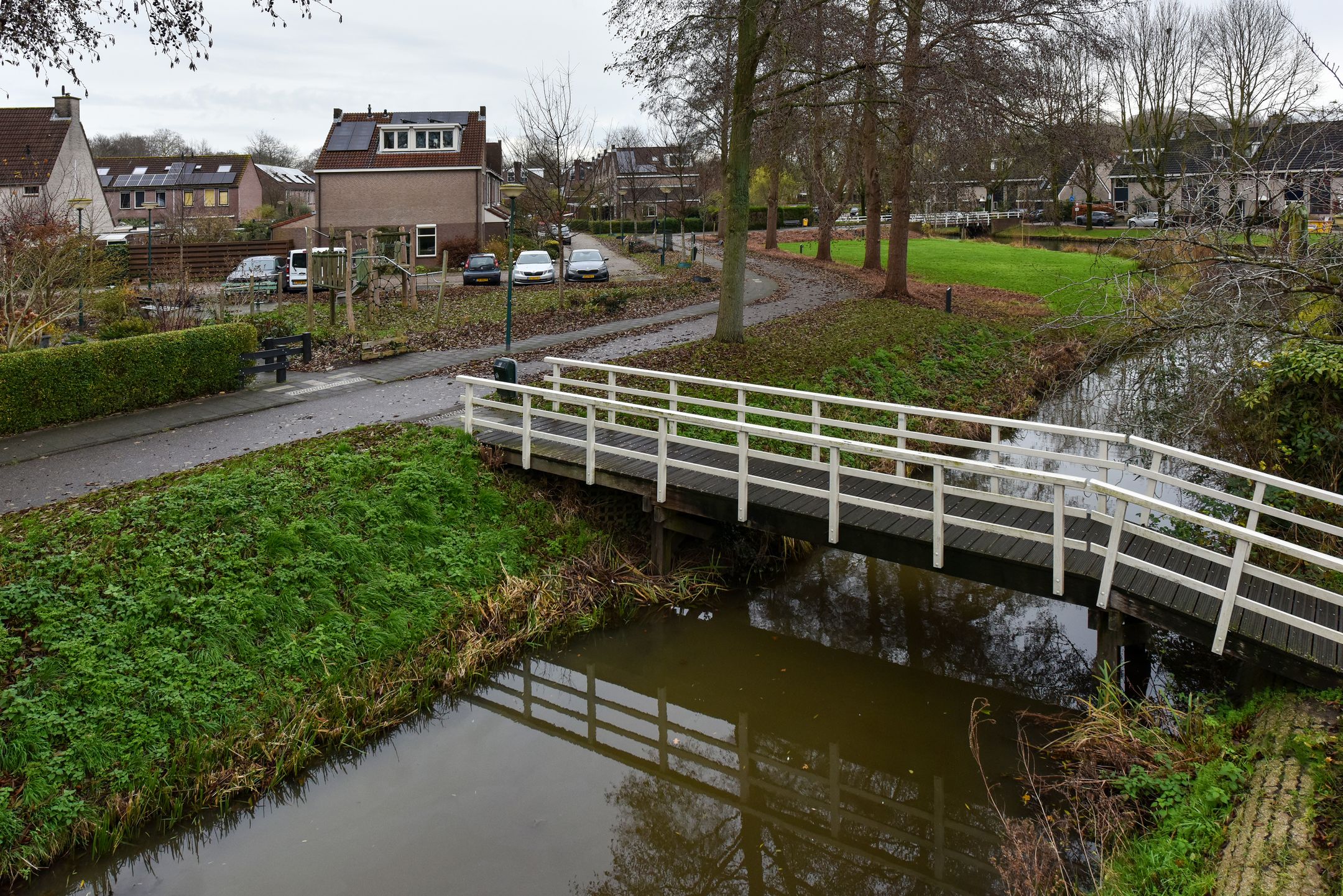 Foto 27 van Glaskruid 9