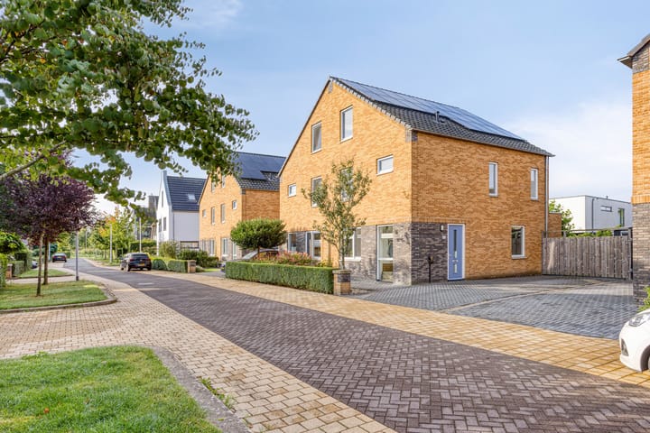 Foto 2 van Van Disselstraat 55