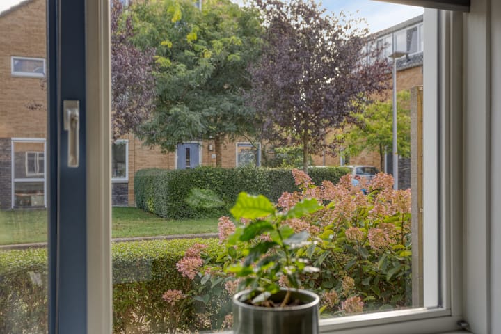 Foto 13 van Van Disselstraat 55