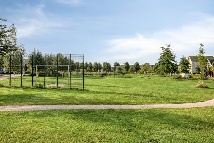 Foto 29 van Van Disselstraat 55