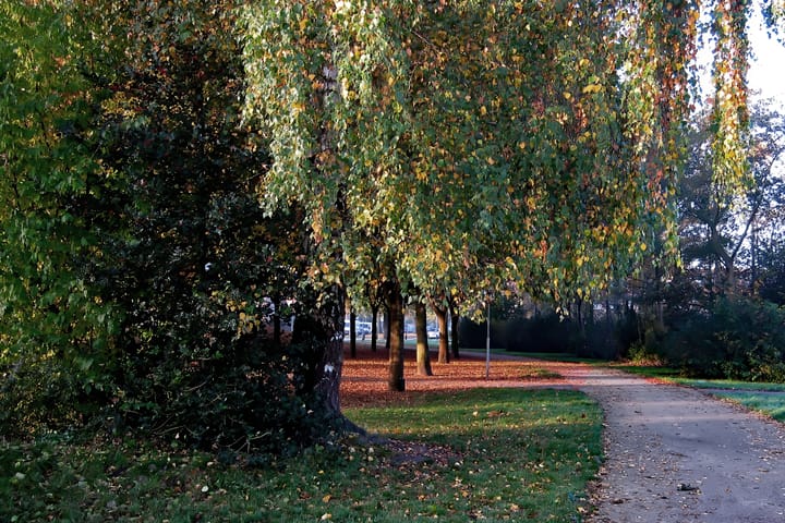 Photo 58 of Simon van Collemstraat 56