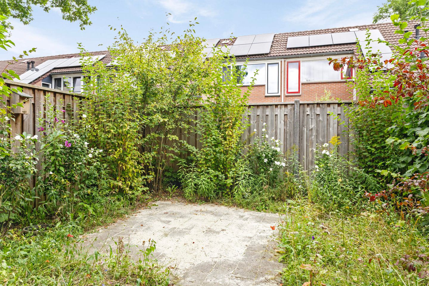 Photo 25 of Biljoen 56