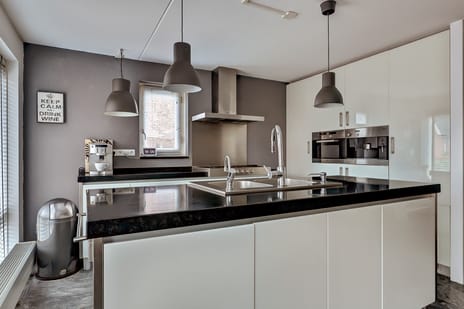 Leghorn 5 tertiary image