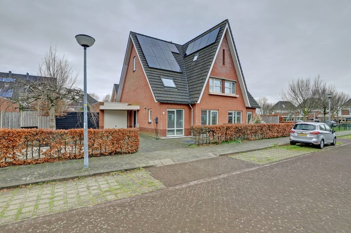 Foto 7 van Leghorn 5