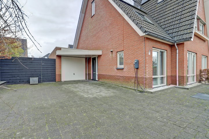 Foto 8 van Leghorn 5