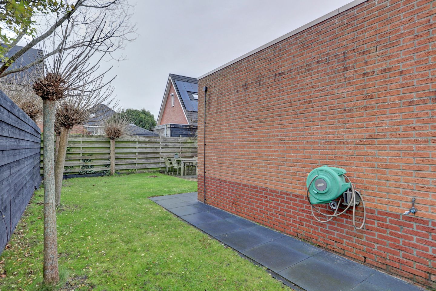 Photo 25 of Leghorn 5
