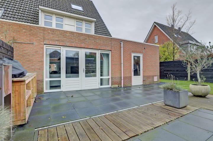 Foto 26 van Leghorn 5