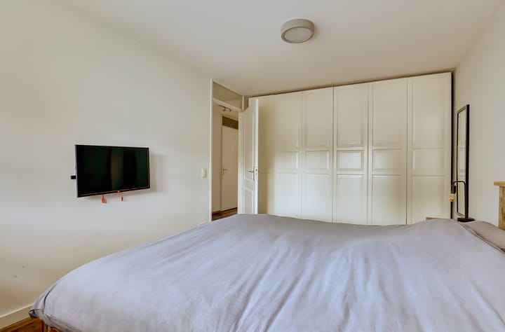 Foto 29 van Leghorn 5