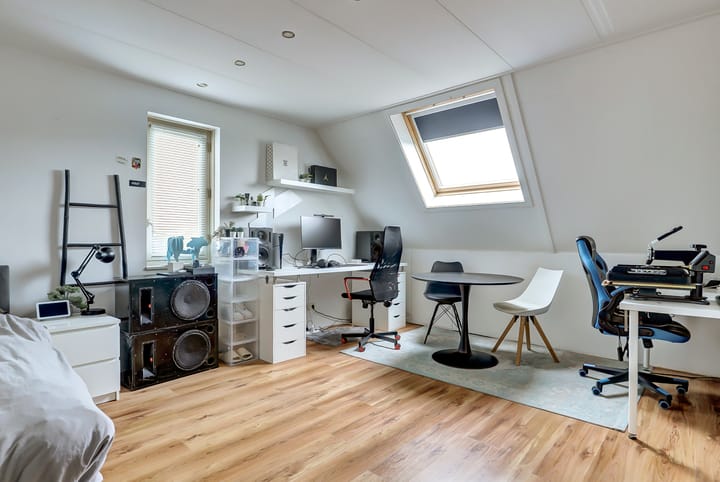 Foto 36 van Leghorn 5