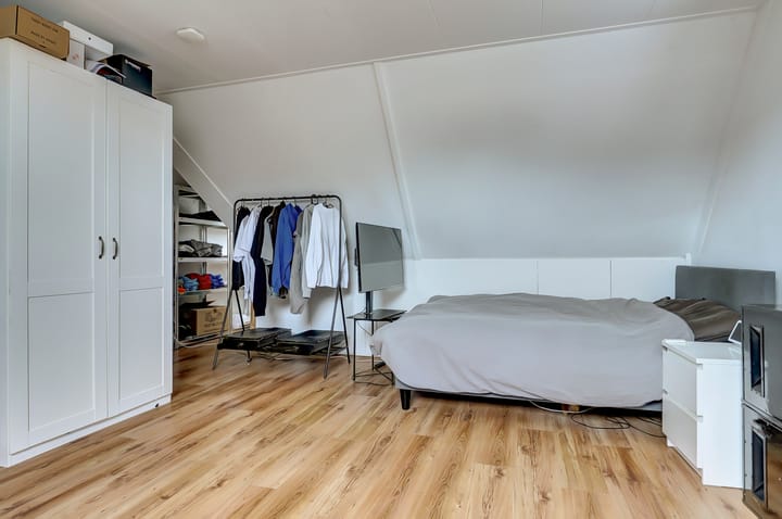 Foto 38 van Leghorn 5