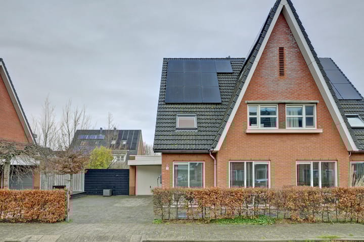 Foto 40 van Leghorn 5