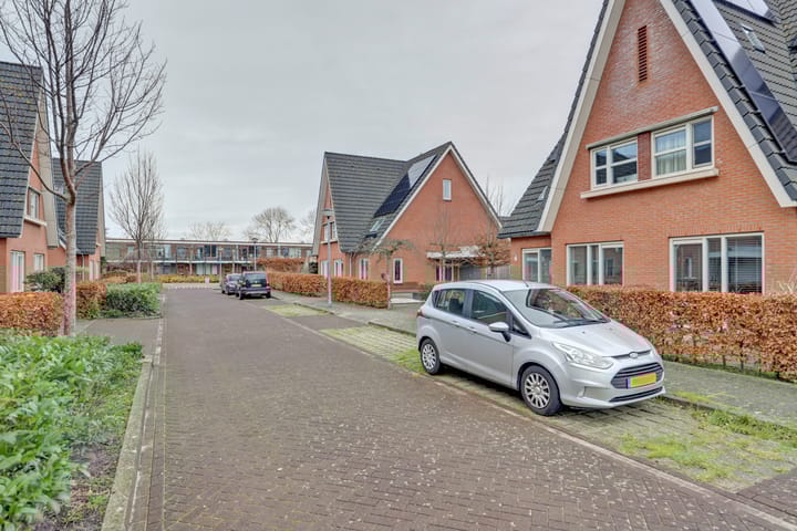 Foto 41 van Leghorn 5