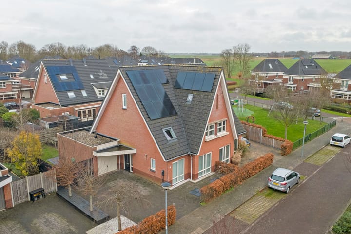 Foto 42 van Leghorn 5