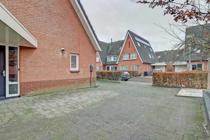 Foto 39 van Leghorn 5