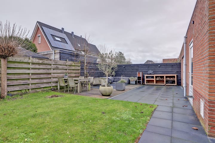 Foto 24 van Leghorn 5