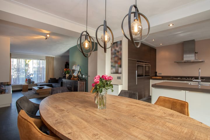 Foto 11 van Orion 48