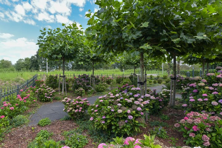 Foto 45 van Legmeerdijk 342