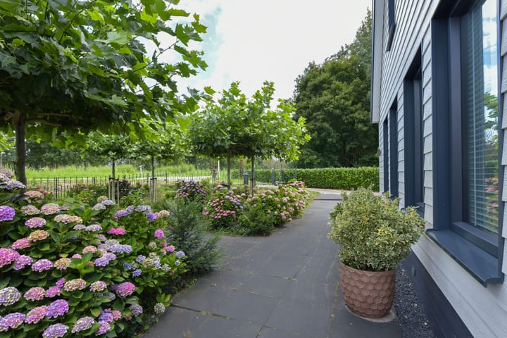 Foto 46 van Legmeerdijk 342