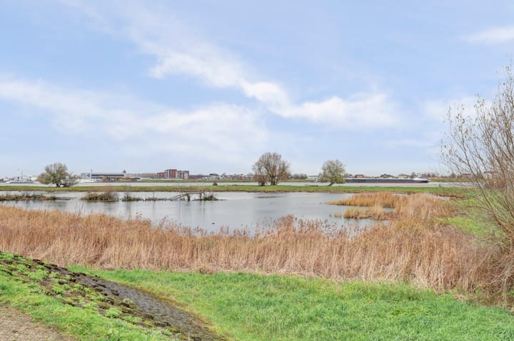 Foto 44 van Biezengors 52