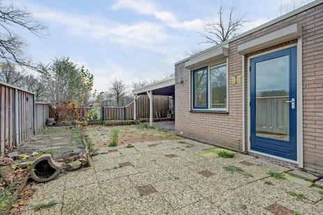 Frans Halsstraat thumbnail