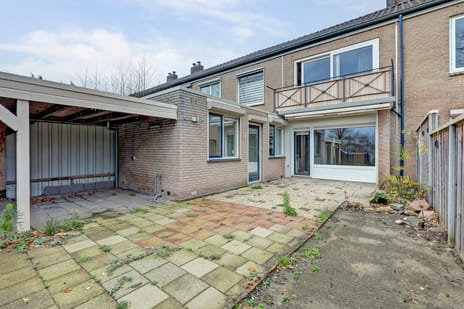 undefined main image